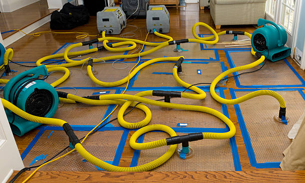 Professional Water Extraction technician working in Hurley, MS